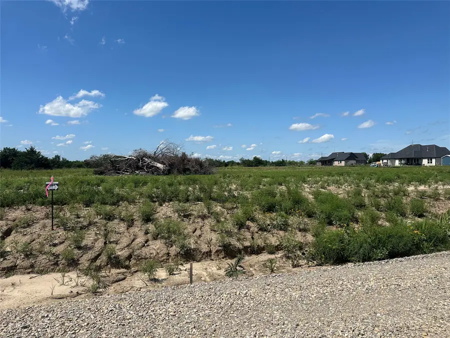 Lot 17 Co Rd 1110, Farmersville, TX 75442 - #3