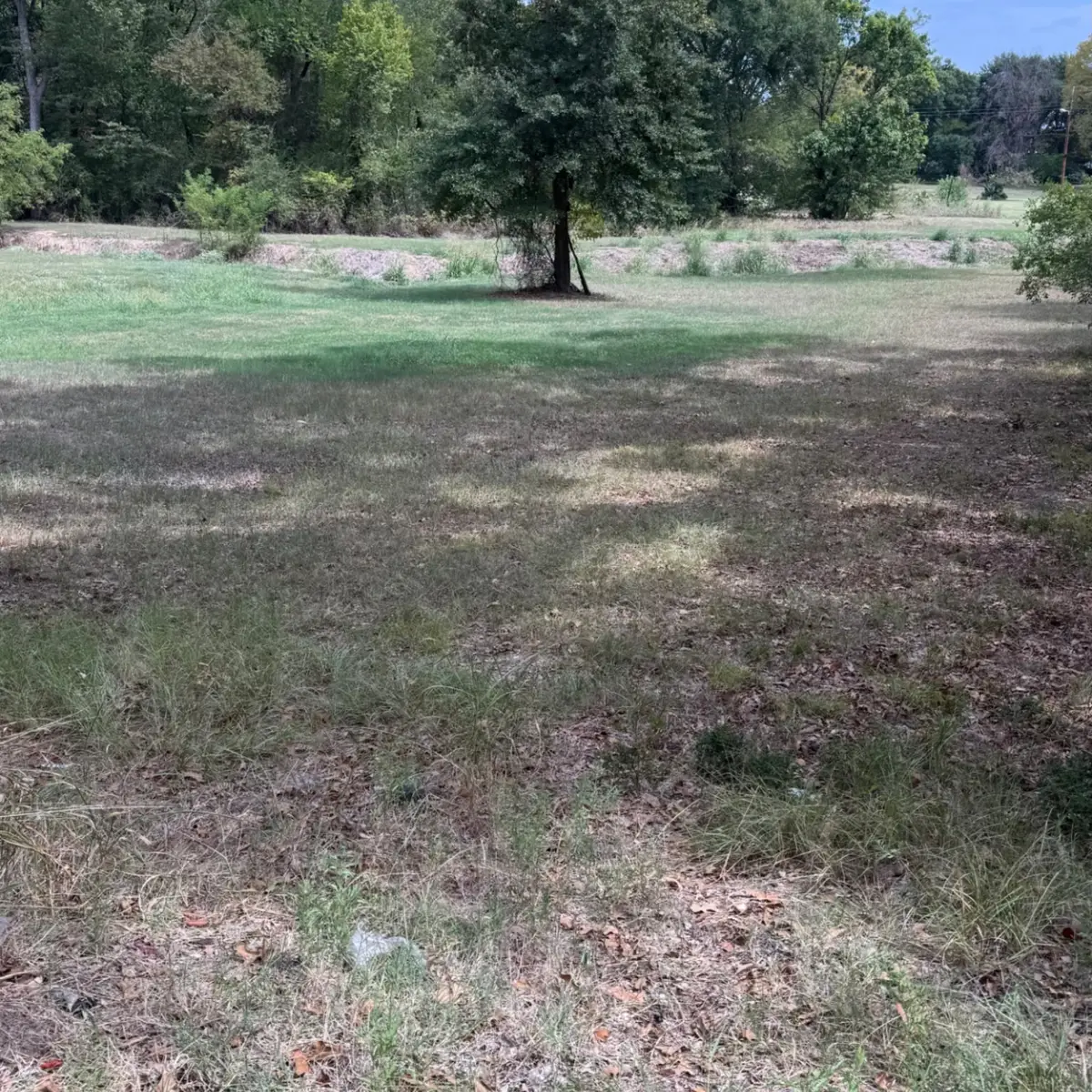 0000 Tbd E. Moss Street, Malakoff, TX 75148 - #1
