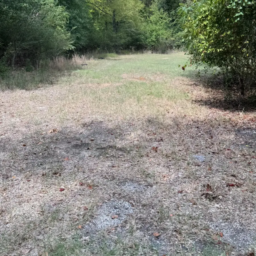 0000 Tbd E. Moss Street, Malakoff, TX 75148 - #2