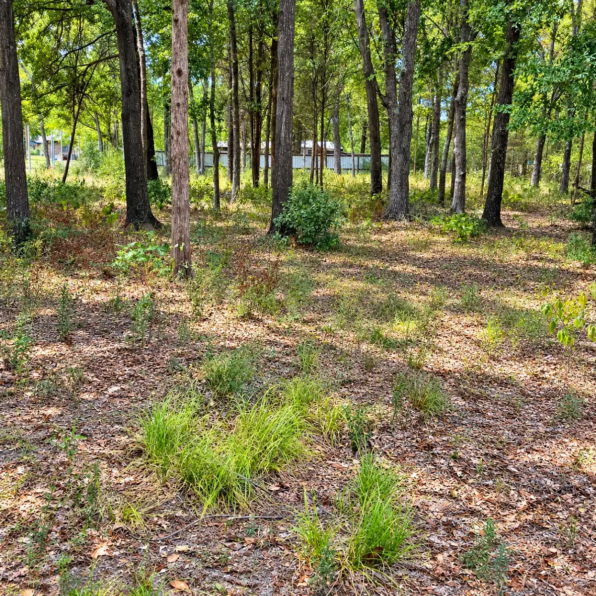 0000 Tbd W. Moss Street, Malakoff, TX 75148 - #1