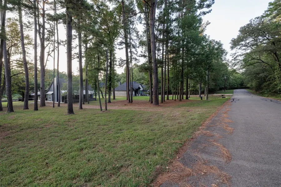 310 Cypress Creek Drive, Mount Vernon, TX 75457 - #3