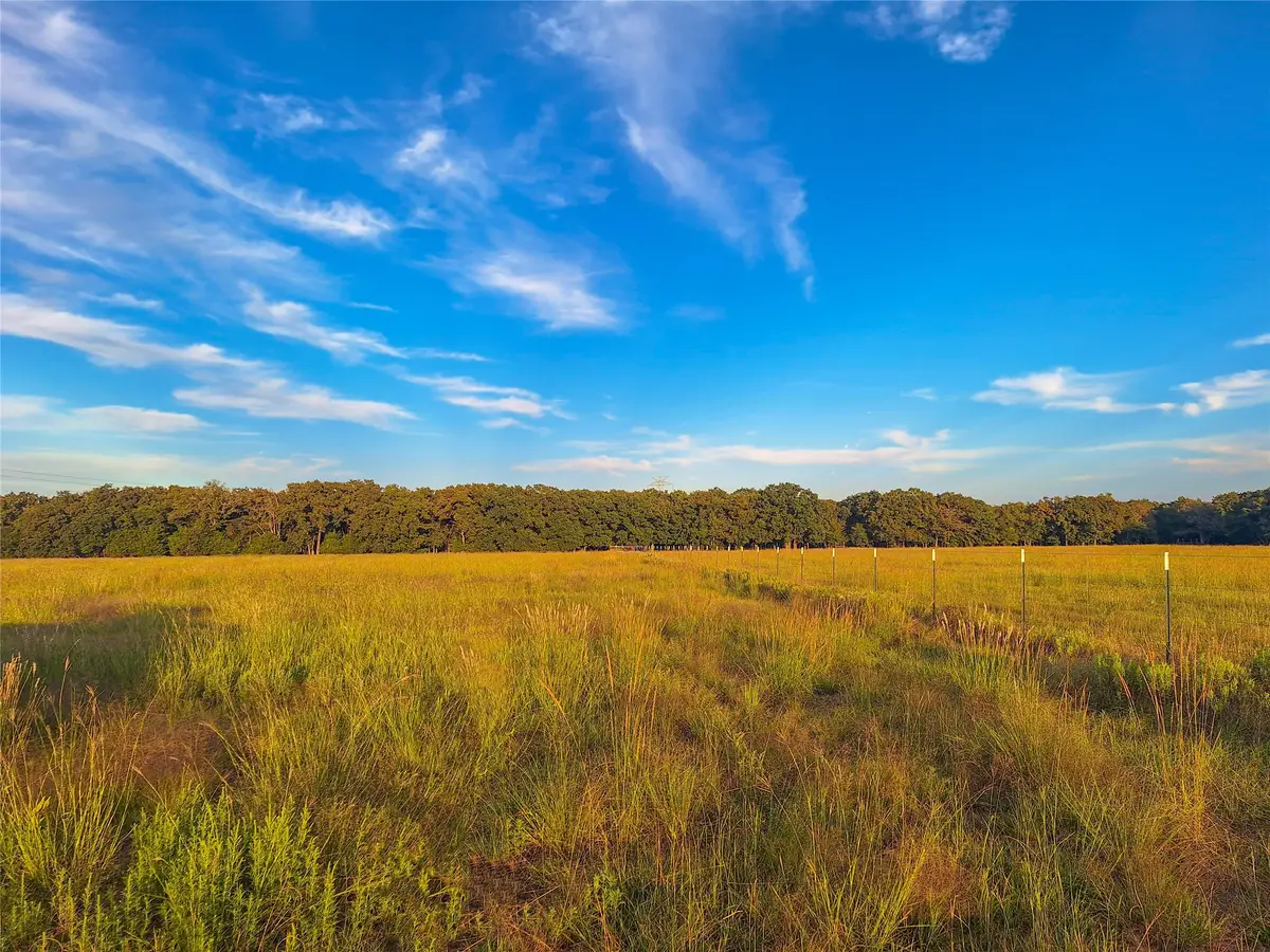 TBD County Road 2147 #C, Kemp, TX 75143 - #1