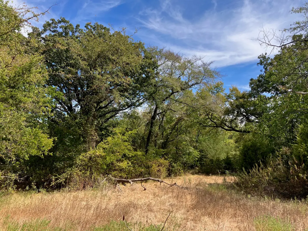 TBD County Road 4758, Sulphur Springs, TX 75482 - #1