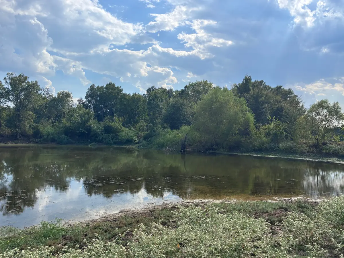 TBD Fm 833, Fairfield, TX 75840 - #1