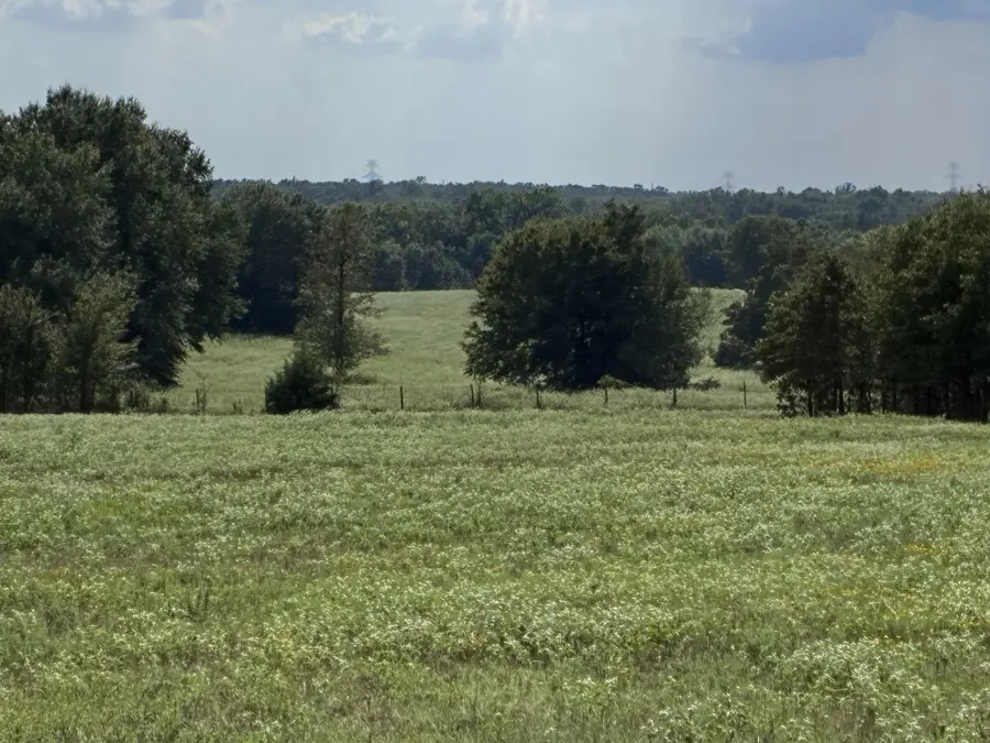 TBD Fm 833, Fairfield, TX 75840 - #3