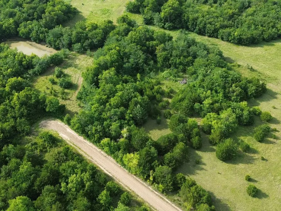 4081 Fm 2736 #D, Campbell, TX 75422 - #2