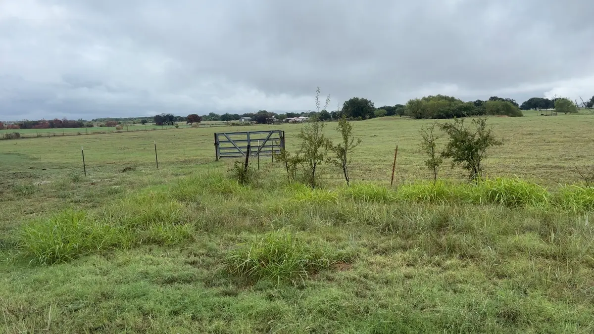 11847 Fm 1156, Bridgeport, TX 76426 - #1