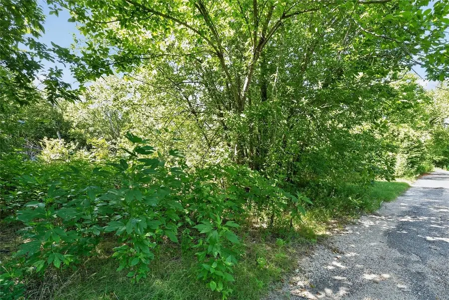 TBD W 1st Street, Purdon, TX 76679 - #3