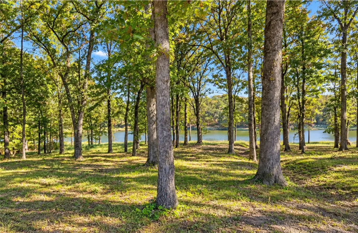 Lot 55 Private Road 52415, Leesburg, TX 75451 - #1