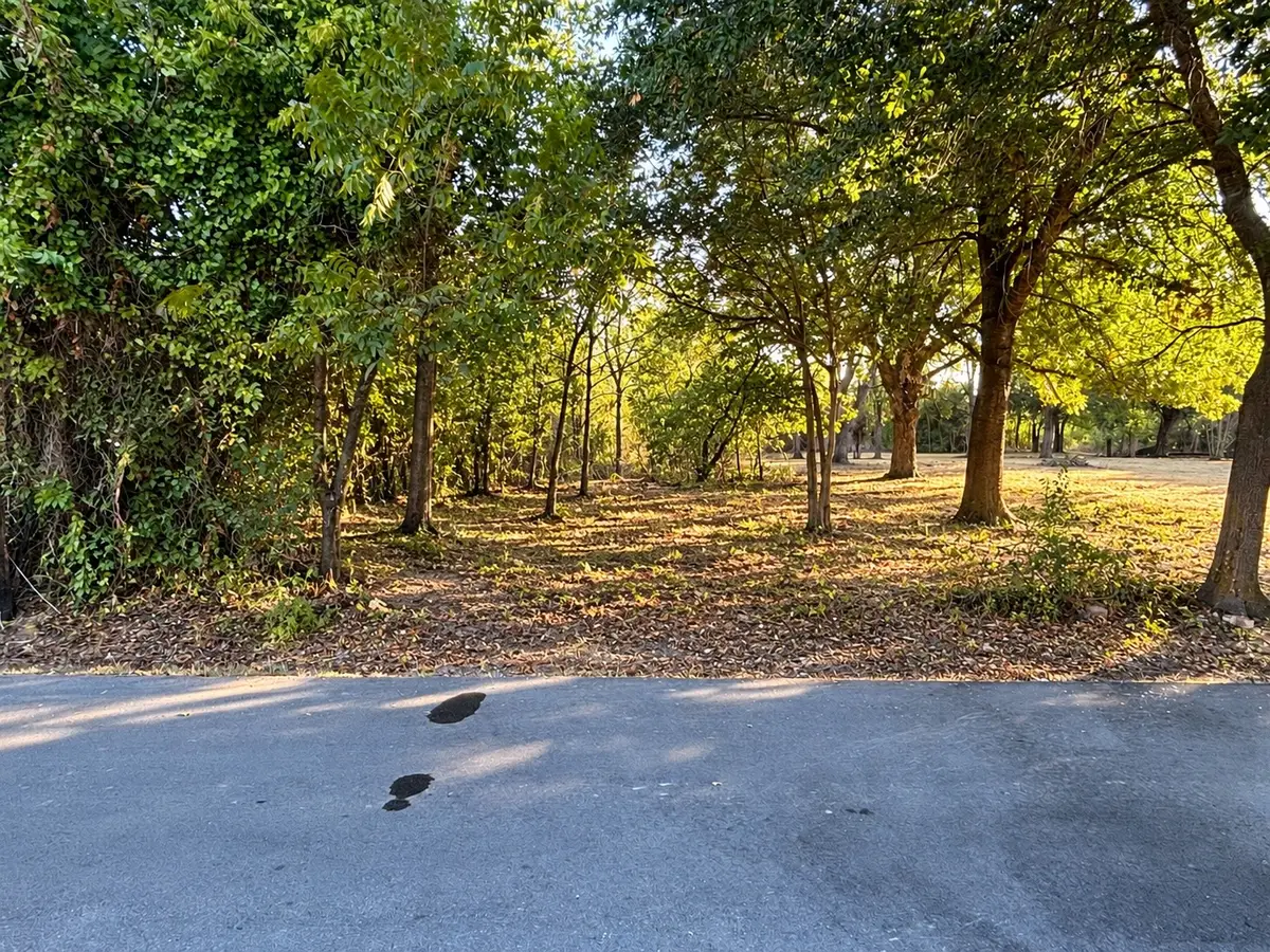 0 Dixon Street, Terrell, TX 75160 - #1