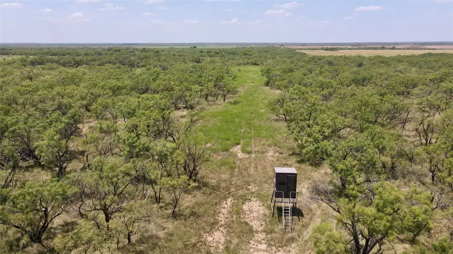 0000 County Road 338, Gouldbusk, TX 76845 - #3