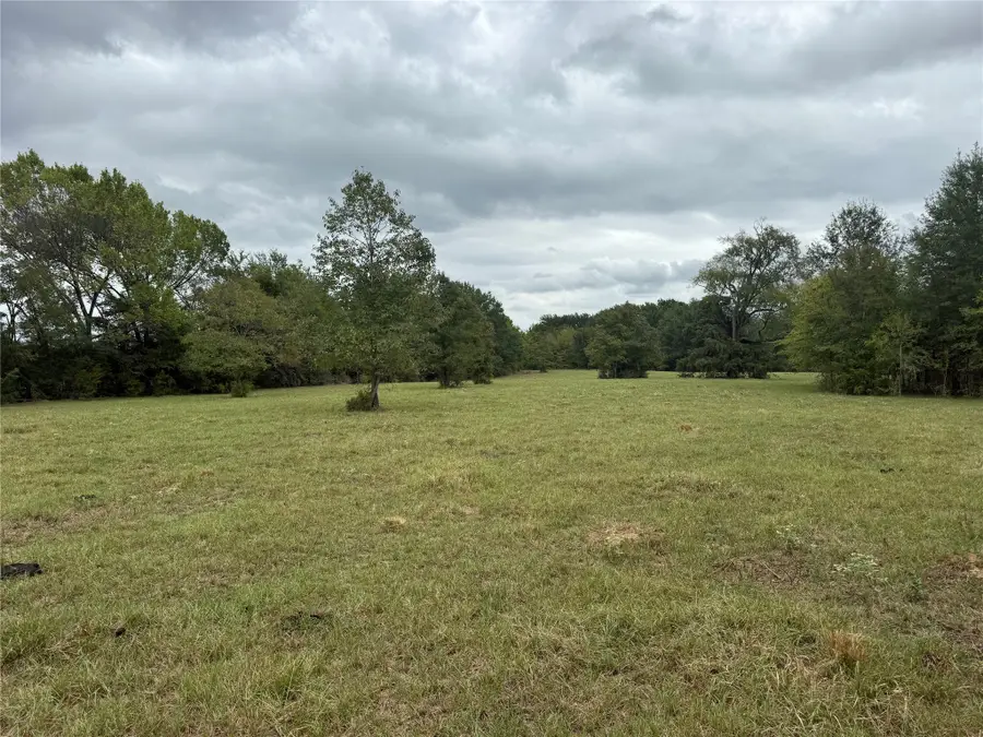 0, TX 000000 0, Tx 00000, Canton, TX 75103 - #2