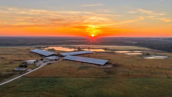 925 County Road 2341, Sulphur Springs, TX 75482