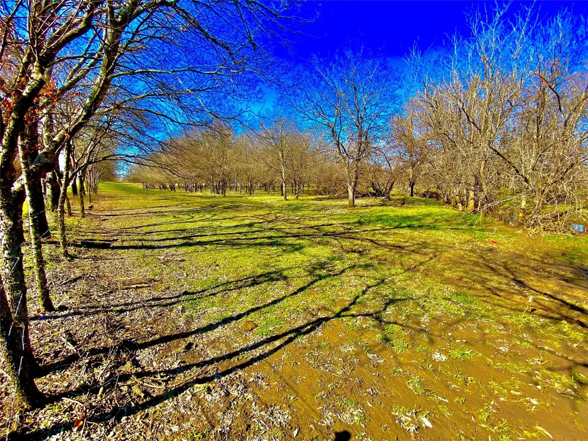 9507 County Road 513, Alvarado, TX 76009 - #1