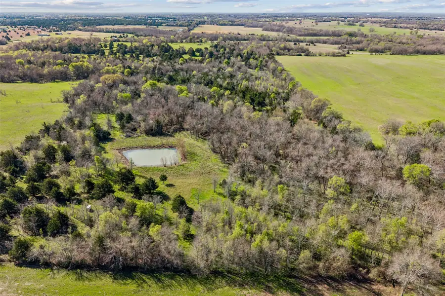 4115 Tbd County Road 4115, Cumby, TX 75433 - #2