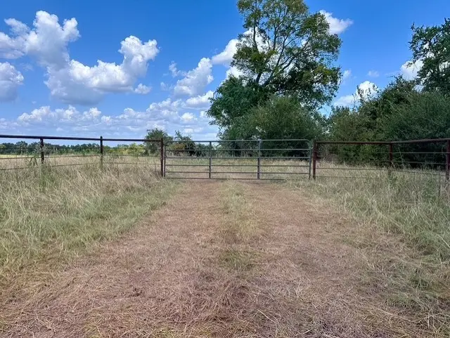 0 An County Road 437, Frankston, TX 75763 - #2
