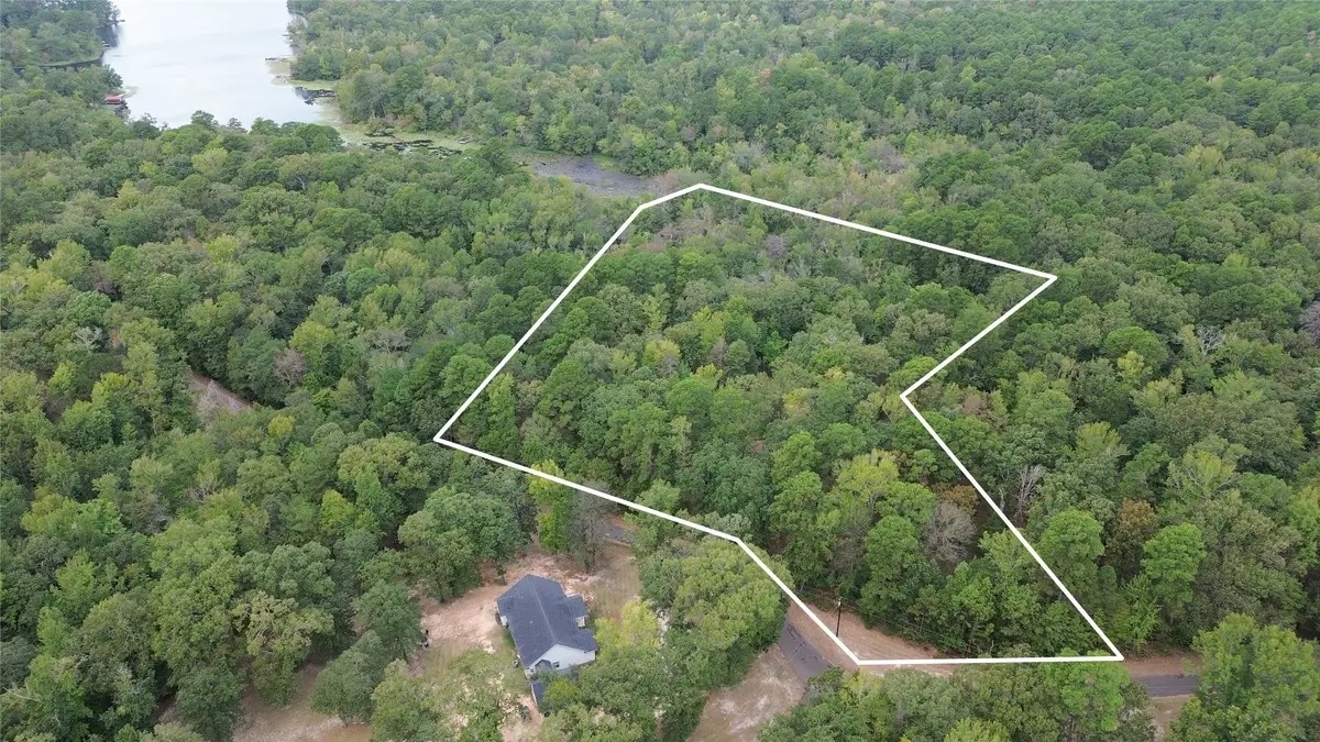 1688 County Road 1597, Avinger, TX 75630 - #1
