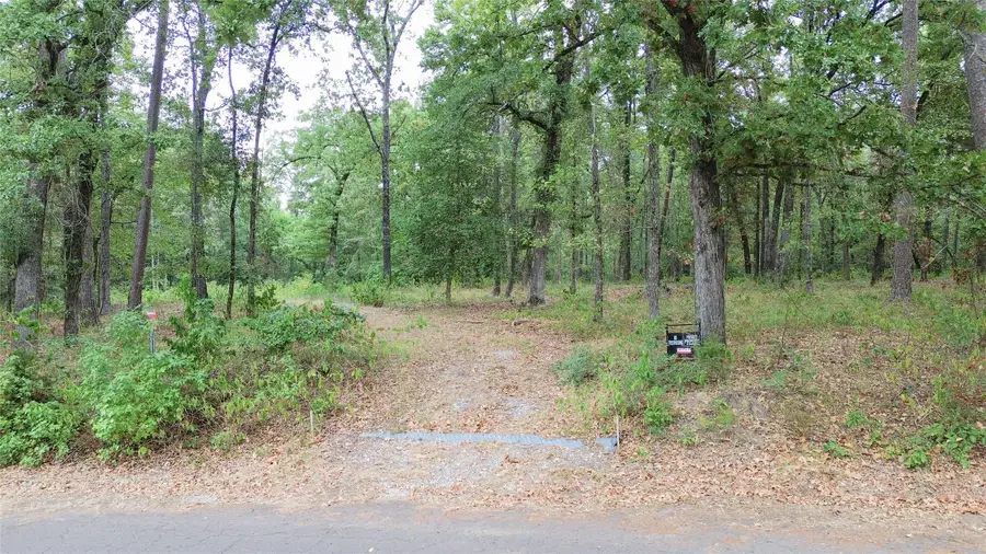 1688 County Road 1597, Avinger, TX 75630 - #2