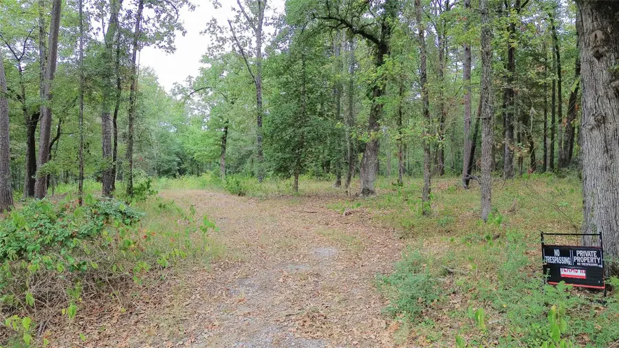 1688 County Road 1597, Avinger, TX 75630 - #3