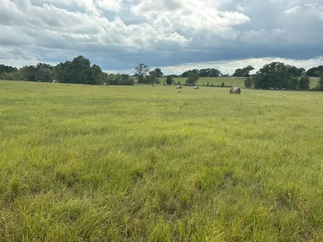 TBD Fm 2709, Eustace, TX 75124 - #2