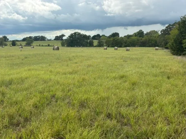 TBD Fm 2709, Eustace, TX 75124 - #3