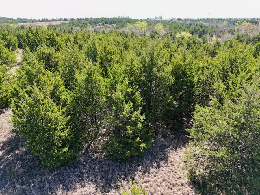 TBD County Road 670, Blue Ridge, TX 75424 - #3