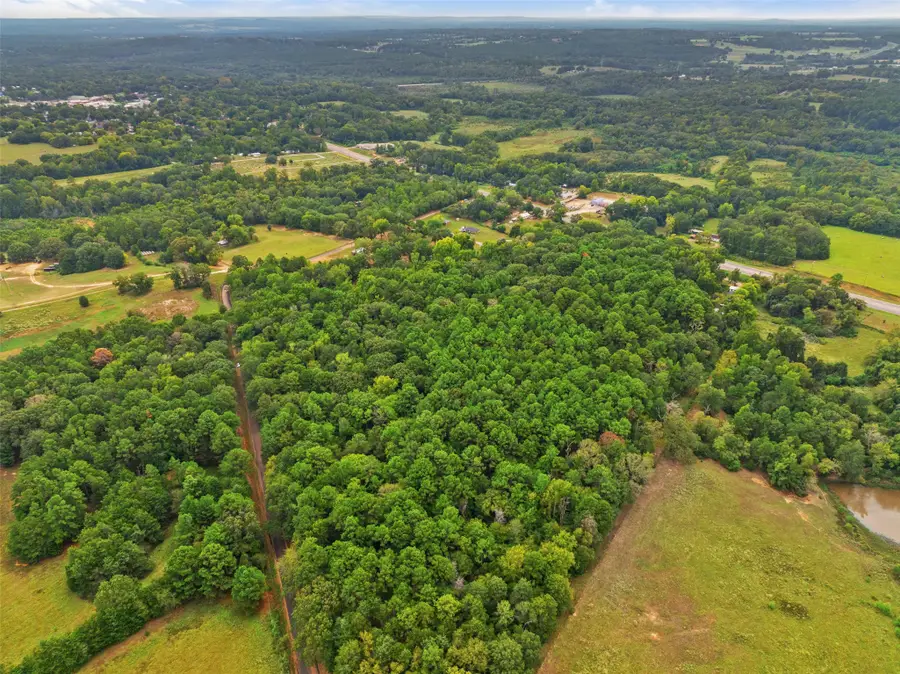 0000 Cr 300, Frankston, TX 75763 - #3