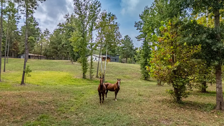6411 Fm 23 W, Rusk, TX 75785 - #2