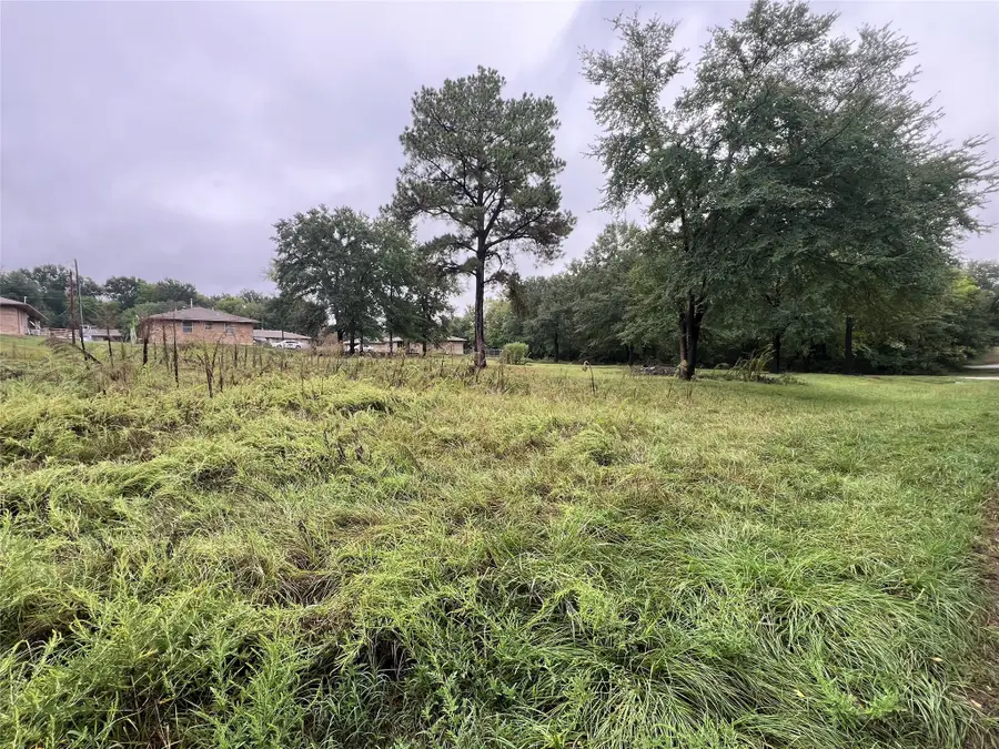 654 Fielder, Grand Saline, TX 75140 - #2