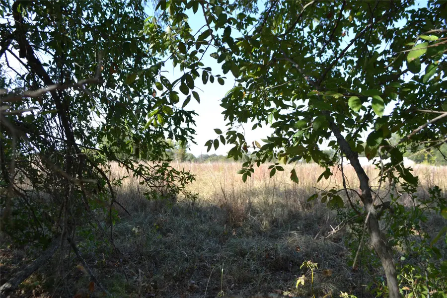 Lot 6 County Road 3410, Brashear, TX 75420 - #3