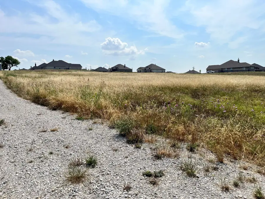 7405 Autumn Grove Lane, Ponder, TX 76259 - #3