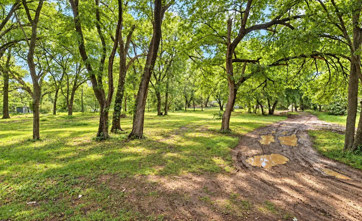 152 Bowden Circle, Burleson, TX 76028 - #1