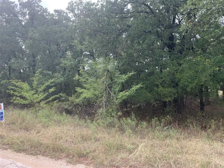 Lot3 Blk12 Lindsey Lane, Runaway Bay, TX 76426 - #3