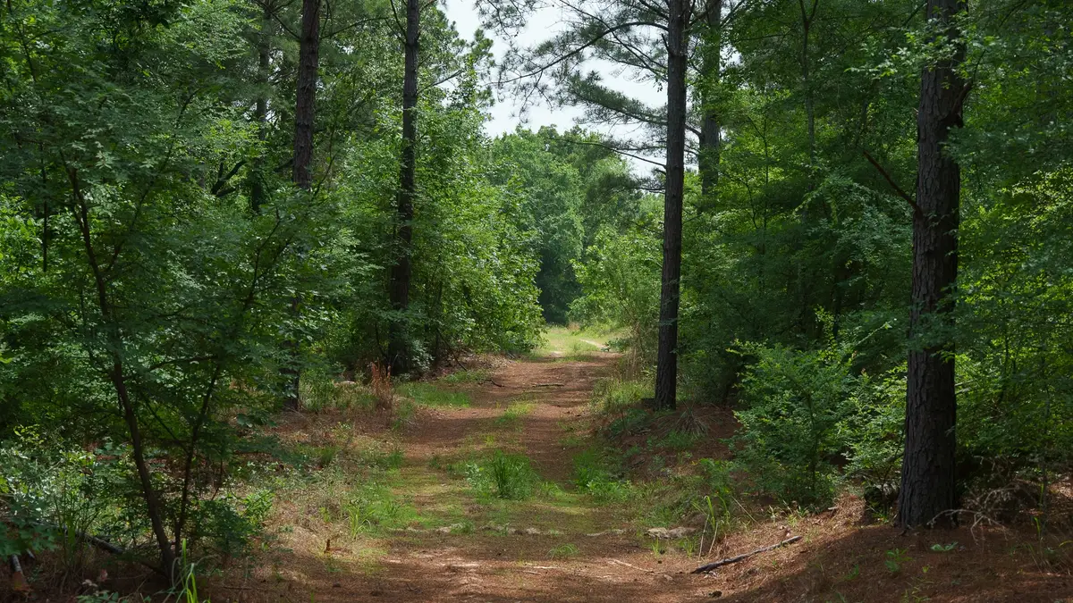 TBD State Highway 64 #2, Ben Wheeler, TX 75754 - #1