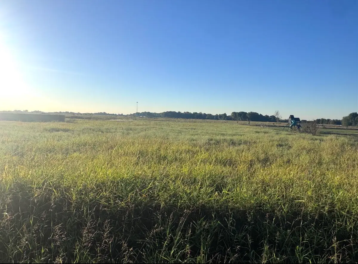 TBD Farrar Road, Palmer, TX 75152 - #1