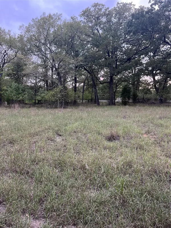 26 Boca Chica, Malakoff, TX 75148