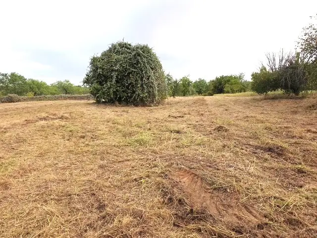 1882 B Old Mineral Wells Highway, Weatherford, TX 76088 - #2