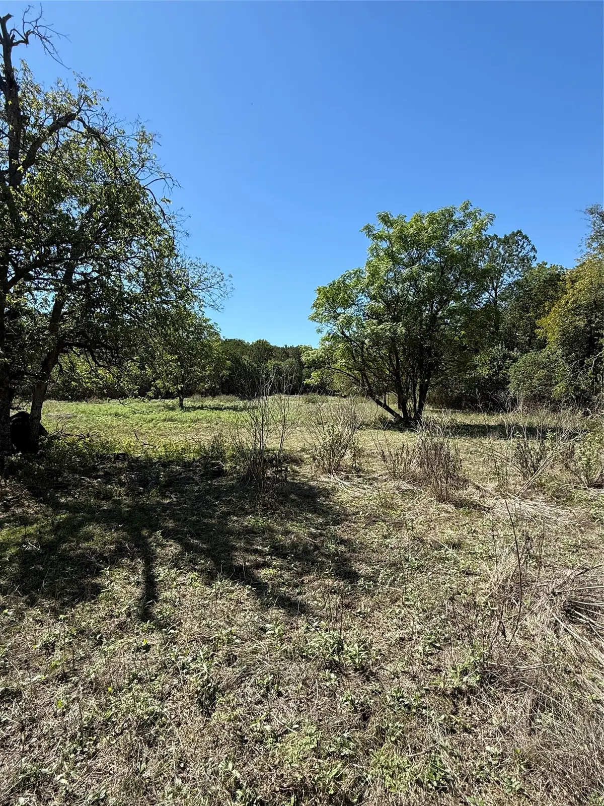 TBD Avenue G, Valley Mills, TX 76689 - #1