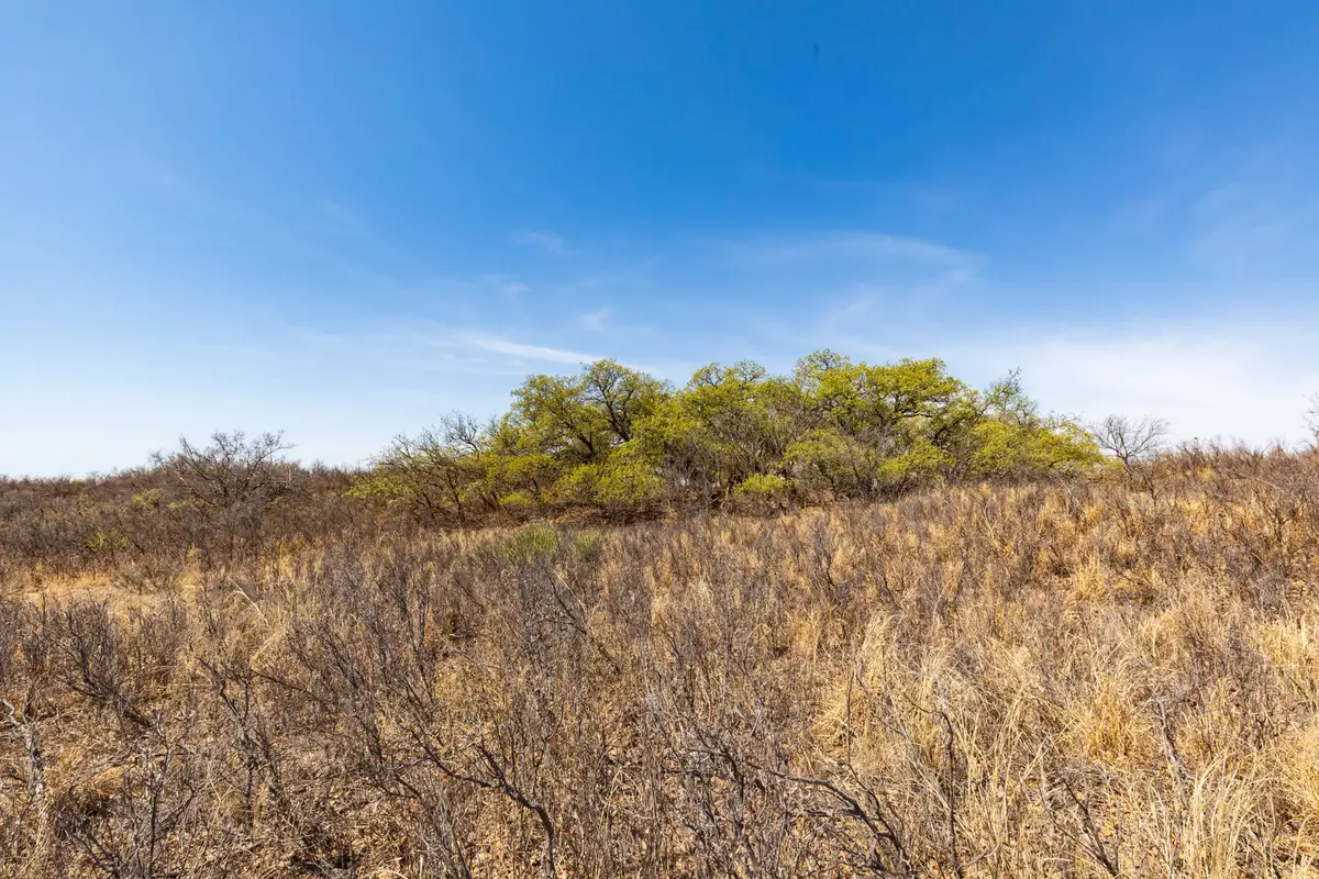 TBD Cr 238, Post, TX 79356 - #1