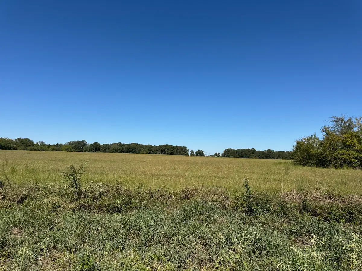 Lot 9 County Road 2922, Eustace, TX 75124 - #1