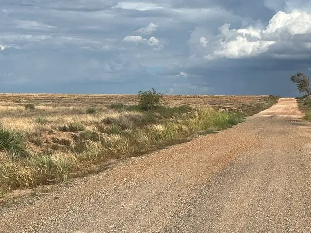 TBD County Rd 412, Roby, TX 79543 - #1