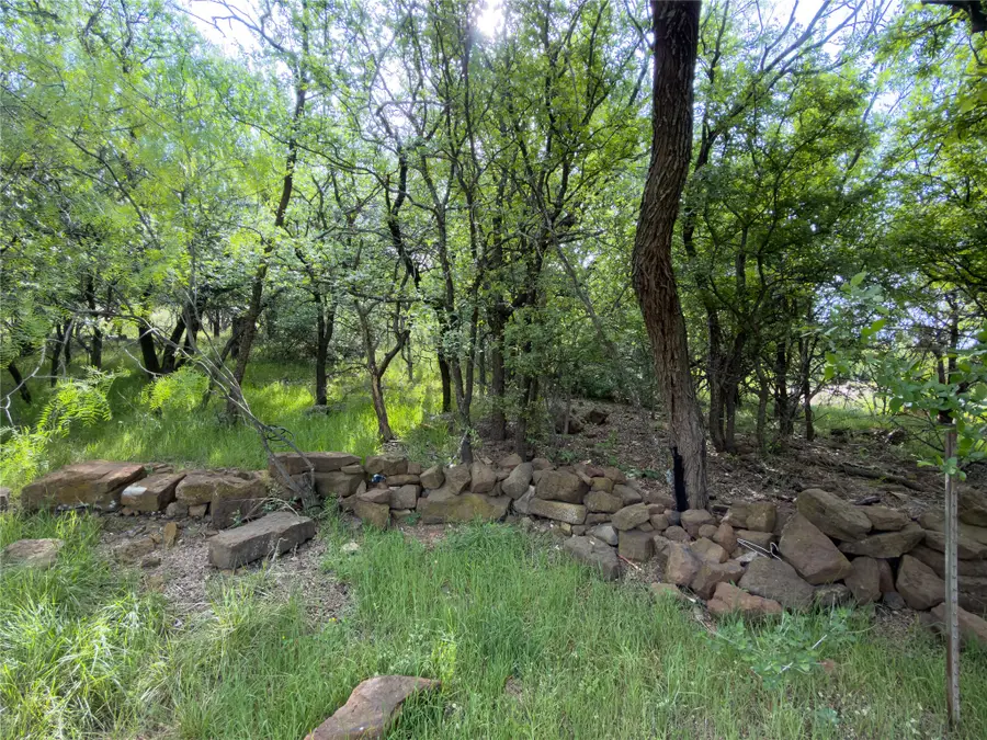 00 NE 9th Avenue, Mineral Wells, TX 76067 - #3
