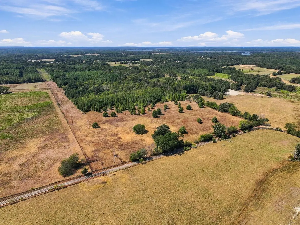 40.54acres TBD County Road 2314, Pittsburg, TX 75686 - #1