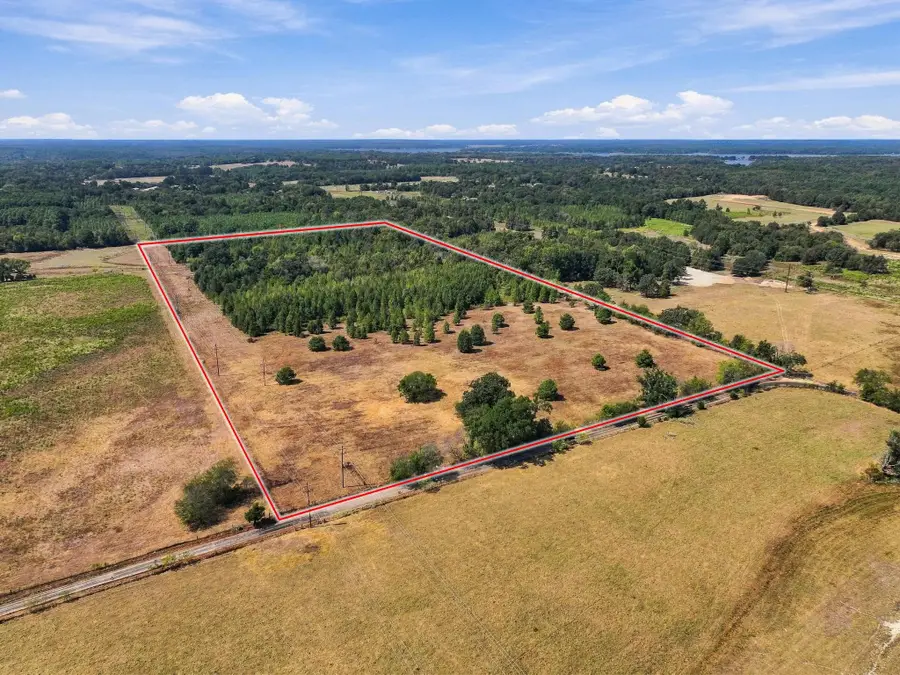40.54acres TBD County Road 2314, Pittsburg, TX 75686 - #2