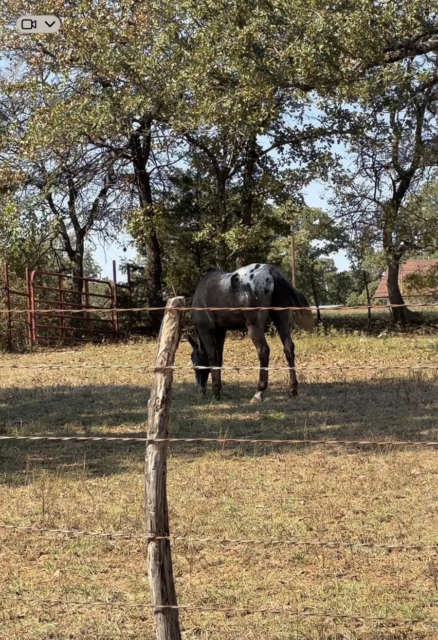 5908 County Road 608, Burleson, TX 76028 - #3