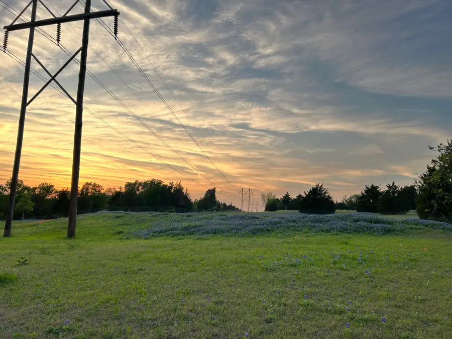TBD 7 Palmyra, Palmer, TX 75152 - #3