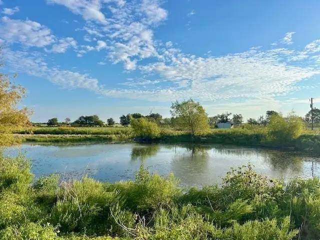 7390 W Hwy 164, Mart, TX 76687 - #1