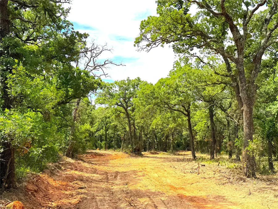 TBD B Turpin Lake Road, Poolville, TX 76487 - #2