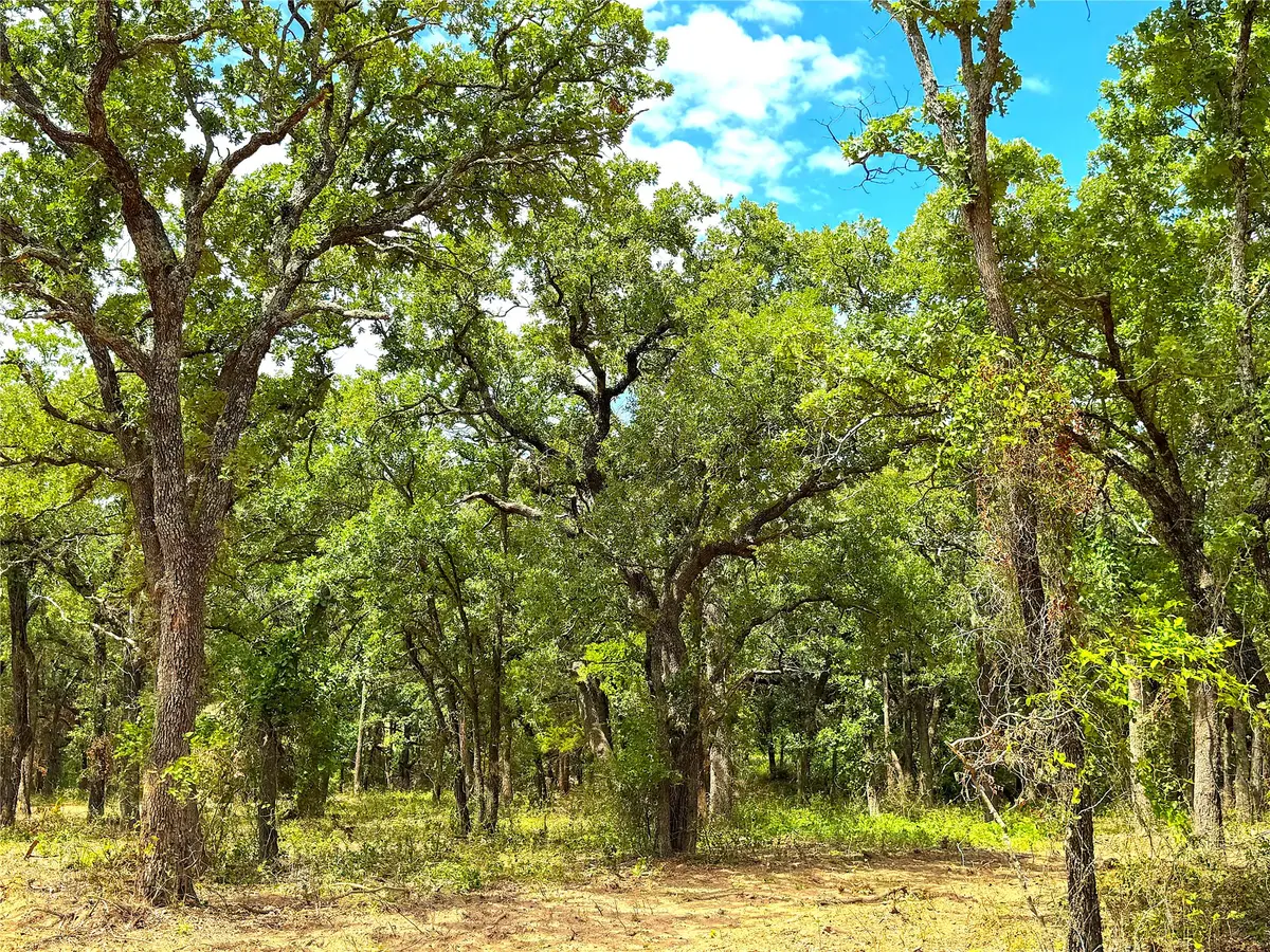 TBD C Turpin Lake Road, Poolville, TX 76487 - #1