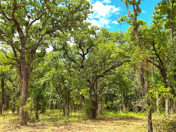TBD C Turpin Lake Road, Poolville, TX 76487